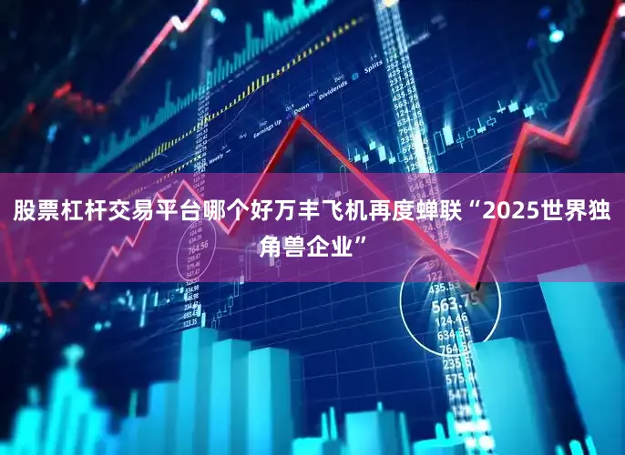 股票杠杆交易平台哪个好万丰飞机再度蝉联“2025世界独角兽企业”